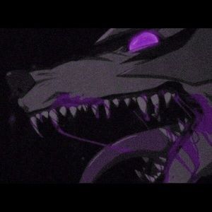 Meet your Posher, Anslee